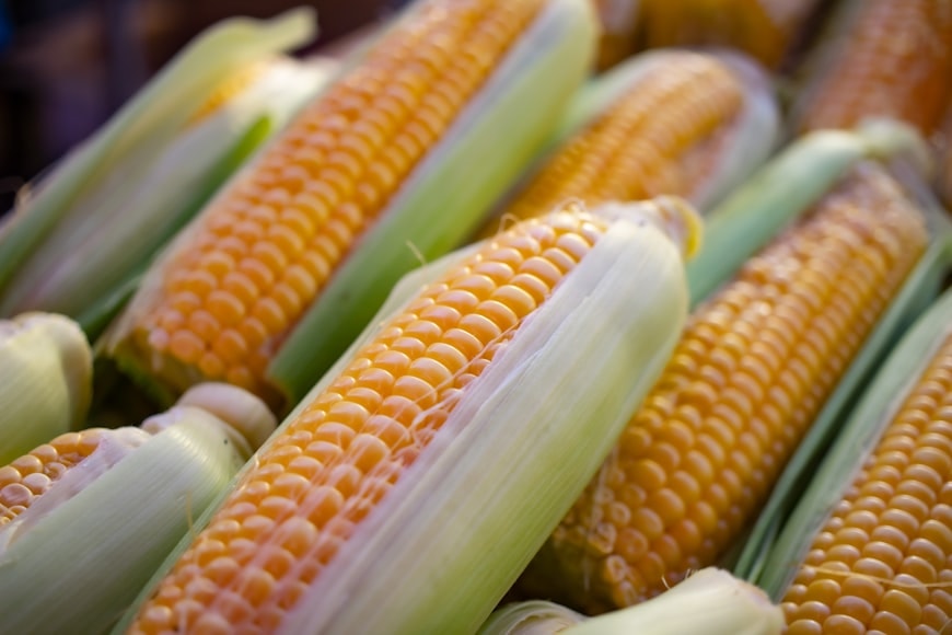 Organic Maize Grade A