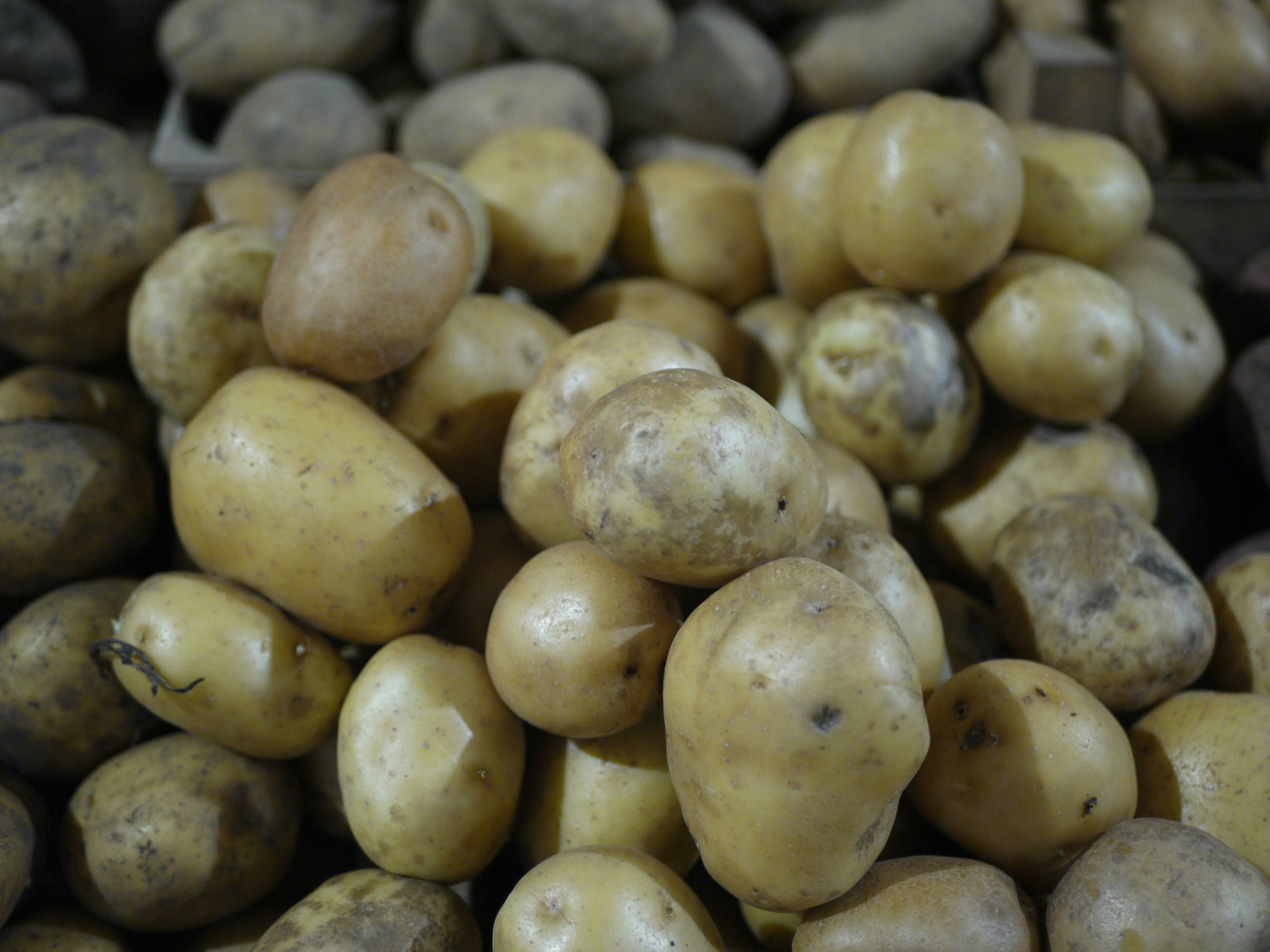 Sweet Alpha Potatoes